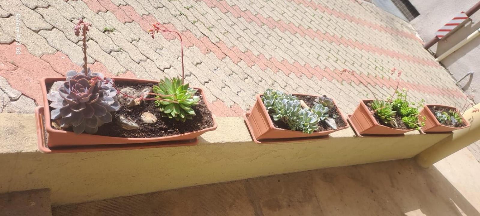 La Casa Di Pepe Apartment Sanremo Bagian luar foto